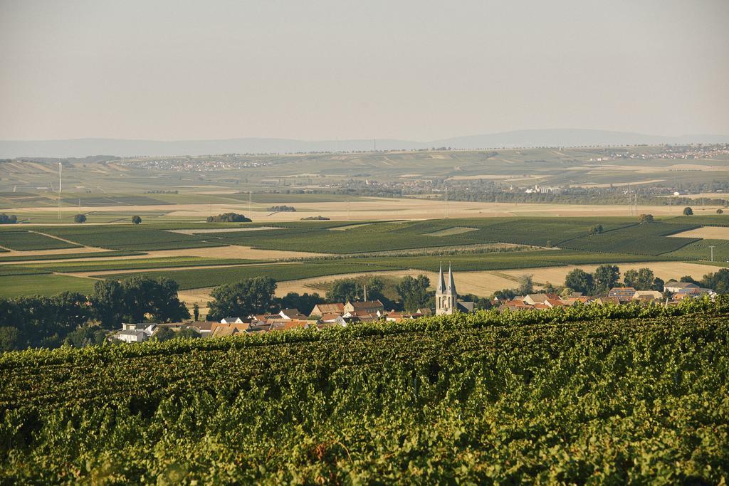 Meyerhof - Bioweingut, Vinothek & Gaestehaus Flonheim Exterior foto